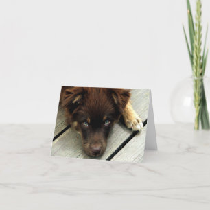 Breker Notecard Kaart