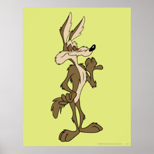 BRELE E. COYOTE™-weergaveprouwe Poster