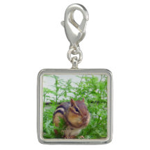 Charme Carré Chipmunk