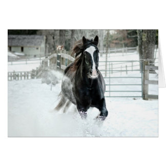 Brenda Lee Running Winter