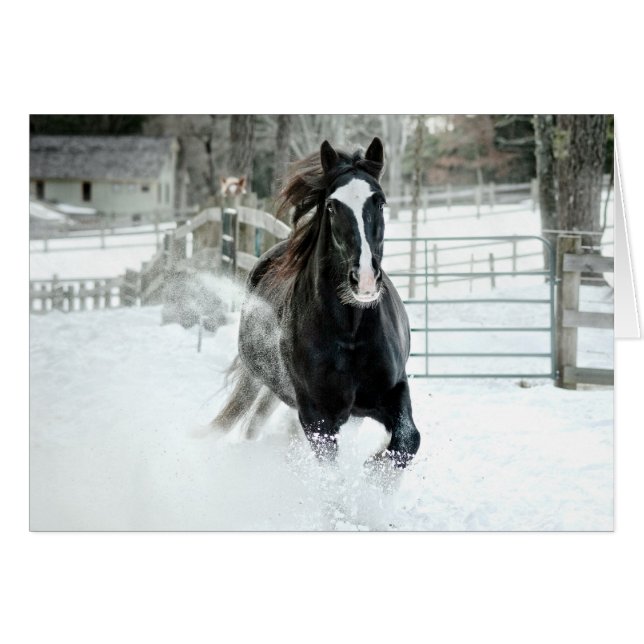 Brenda Lee Running Winter (Voorkant Horizontaal)