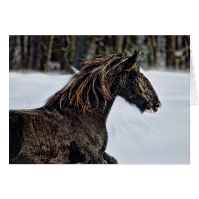 Brenda Lee Winter (Voorkant Horizontaal)