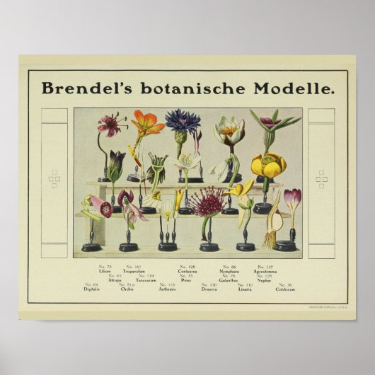 Brendel's ventilatormodel en kunstdrukken Poster (Voorkant)