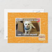 Breng ik me nu naar huis? briefkaart (Voorkant / Achterkant)