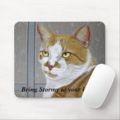 Breng Stormy naar je startpunt: mousepad Muismat (Met muis)