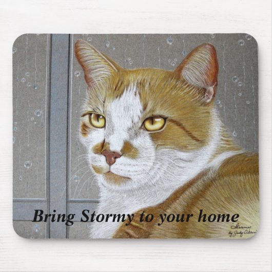 Breng Stormy naar je startpunt: mousepad Muismat (Voorkant)