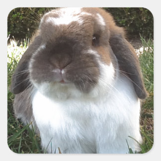 Breng wat frisheid in je leven! vierkante sticker