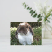 Breng wat rust in je leven! briefkaart (Staand voorkant)