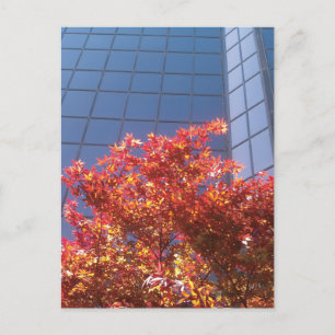 Brentwood bomen en glas briefkaart