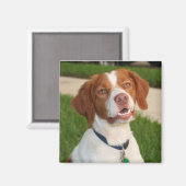 Bretagne Magnet (Recto/Verso)