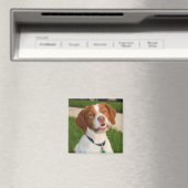 Bretagne Magnet (In Situ (Lave-vaisselle))