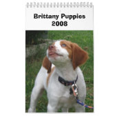 Bretagne Puppies 2008 Kalender (Hoes)