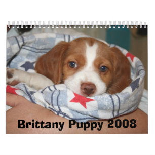 Bretagne Puppy Calendar 2008 (ALLE RUSTY) Kalender