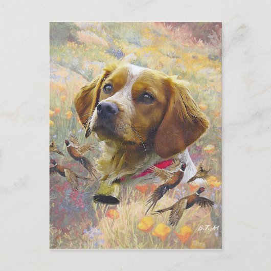 Bretagne Spaniël Kunst, fazant jacht Briefkaart (Voorkant)