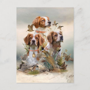 Bretagne Spaniel, Passie voor vogels Briefkaart