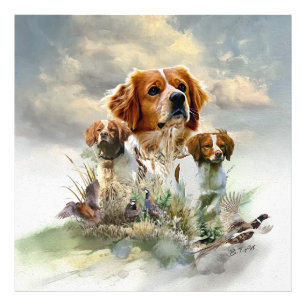 Bretagne Spaniels, Frans Bretagne, Vogelhond Foto Afdruk