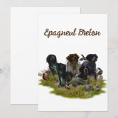 Bretagne Spanjaarden, vogeljacht Kaart (Voorkant / Achterkant)