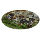 Bretagne Spanjaarden, vogeljacht Snijplank (Hoek)