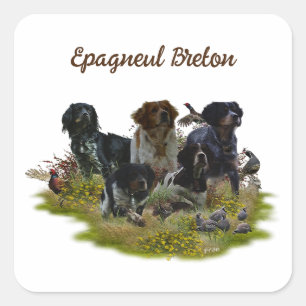 Bretagne Spanjaarden, vogeljacht Vierkante Sticker