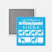 Bretagne têtue Spaniel Tricks Magnet (Recto/Verso)