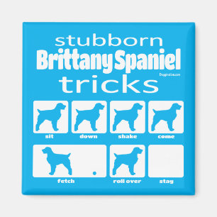 Bretagne têtue Spaniel Tricks Magnet