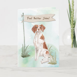 Bretagne voelt zich beter na Chirurgie met Hond Kaart