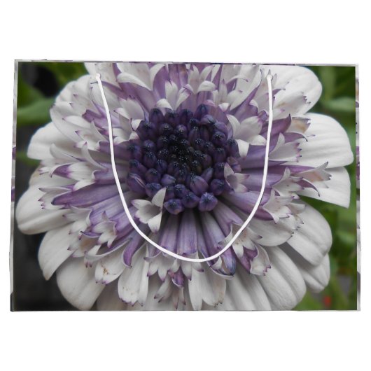 Brett Groot Cadeauzakje (Achterkant)