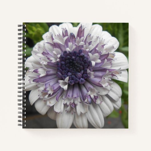 Brett Notitieboek (Voorkant)