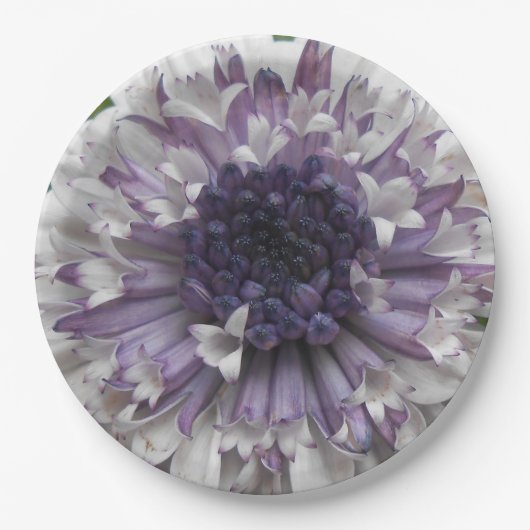 Brett Papieren Bordje (Voorkant)