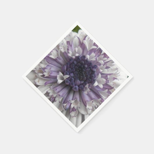 Brett Servetten (Hoek)