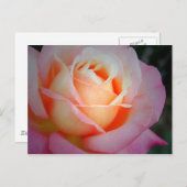 Brianna Briefkaart (Voorkant / Achterkant)