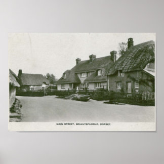 Briantspuddle, Dorset  briefkaart print