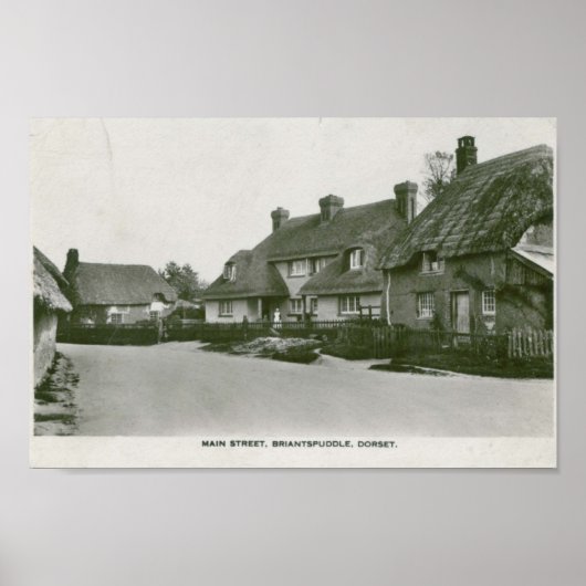 Briantspuddle, Dorset  briefkaart print (Voorkant)