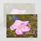 Briar Roos Briefkaart (Voorkant / Achterkant)