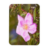 Briar Roos Magneet (Verticaal)