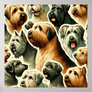 Briard Dog Naadloos Poster