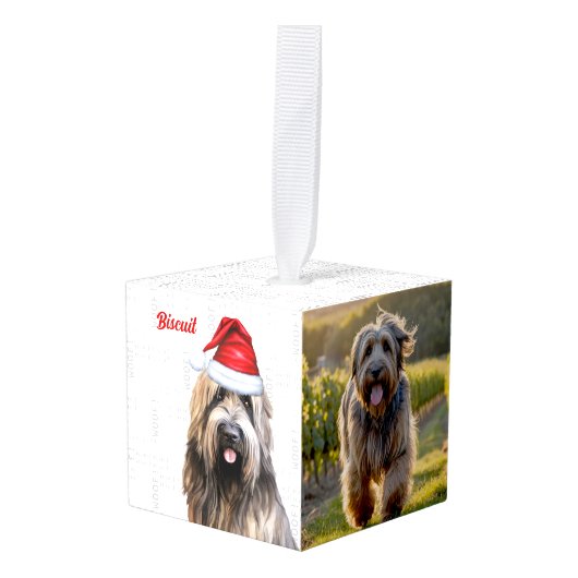 Briard Dog Twee Foto Vakantie Kubus Ornament (Voorkant hoekig)