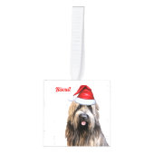 Briard Dog Twee Foto Vakantie Kubus Ornament (Voorkant)