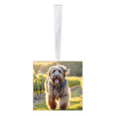 Briard Dog Twee Foto Vakantie Kubus Ornament (Rechts)