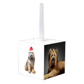 Briard Dog Twee Foto Vakantie Kubus Ornament (Achter hoekig)