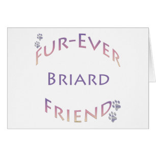 Briard Furever