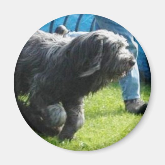 Briard Magneet (Voorkant)