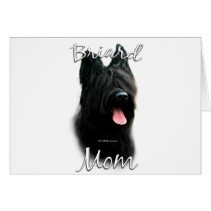 Briard maman 2