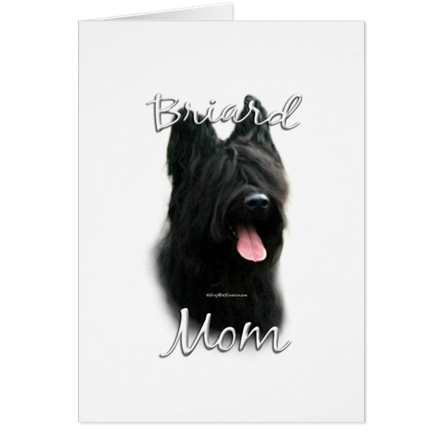 Briard maman 2 (Devant)