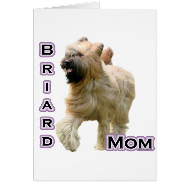 Briard Maman 4 (Devant)