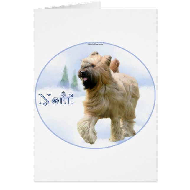 Briard Noel (Devant)