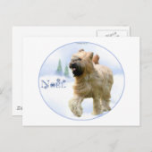 Briard Noel Feestdagenkaart (Voorkant / Achterkant)