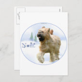 Briard Noel Feestdagenkaart (Voorkant / Achterkant)