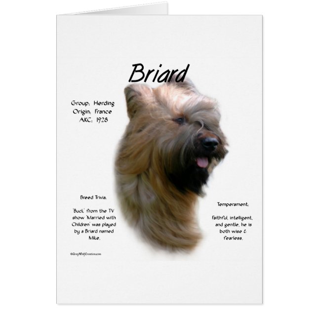 Briard (tawny) Geschiedenis Ontwerp (Voorkant)