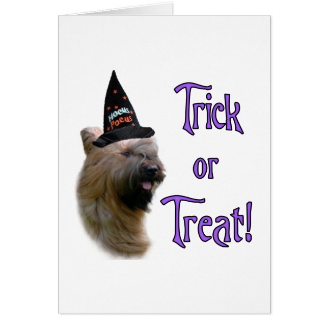 Briard Trick (Devant)